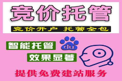 案例对比：SEM推广代运营效果评估